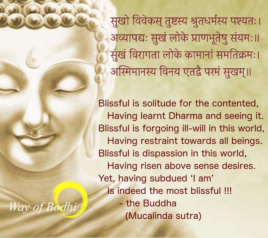 Dharma Quote - Blissful is solitude