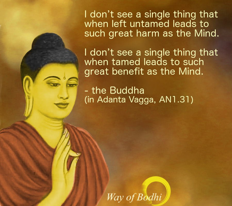 Buddha Quote - Taming Mind