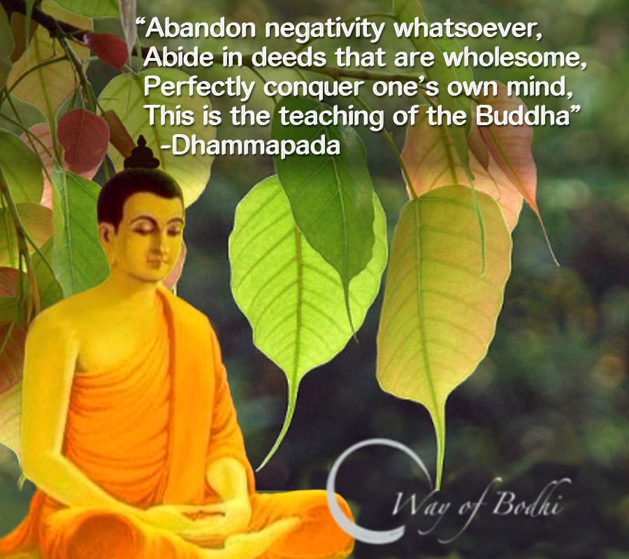buddha teachings on life