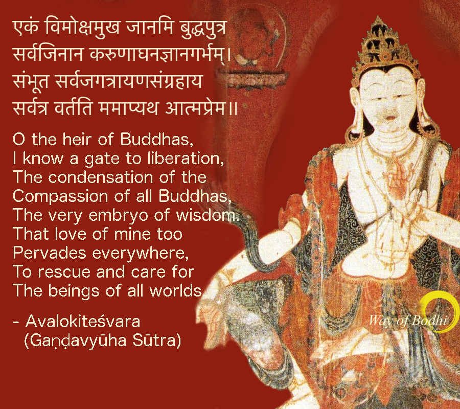 Avalokitesvara, The Magnificent Play Of Compassion - Way Of Bodhi