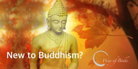 Way of Bodhi – Wisdom, Compassion and Openness - Way of Bodhi