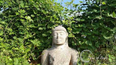 Ancient Buddha Statue, Ulagiyanallur, Kallakurichi, Tamil Nadu